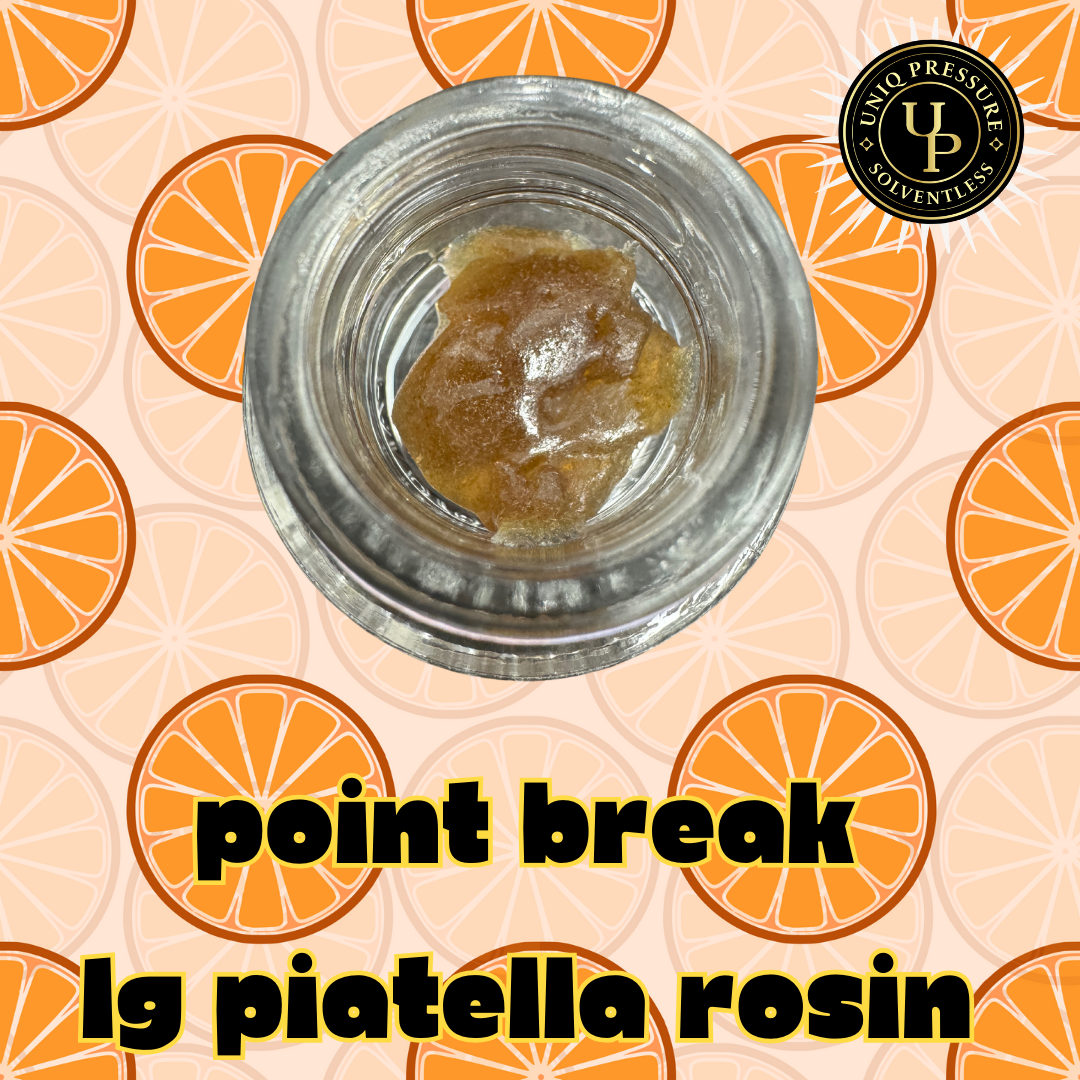 Photograph of product: Concentrate | Rosin | Point Break Piatella | 1g | Uniq Pressure