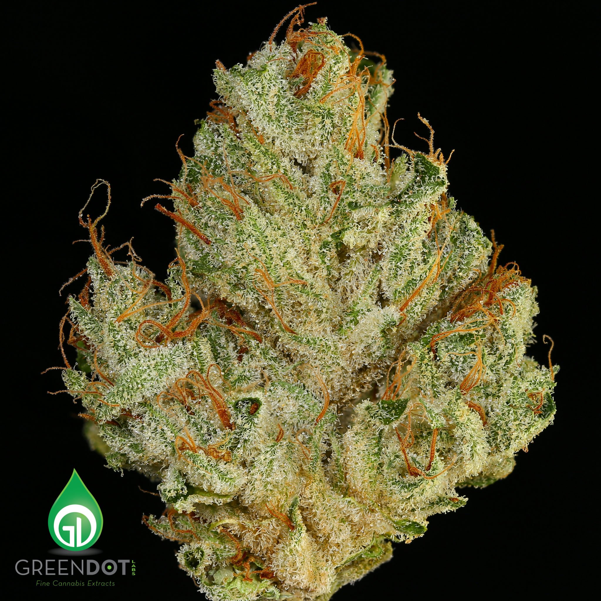 Photograph of product: Green Dot Black Label Rainbow Beltz V2 (I) 3.5g