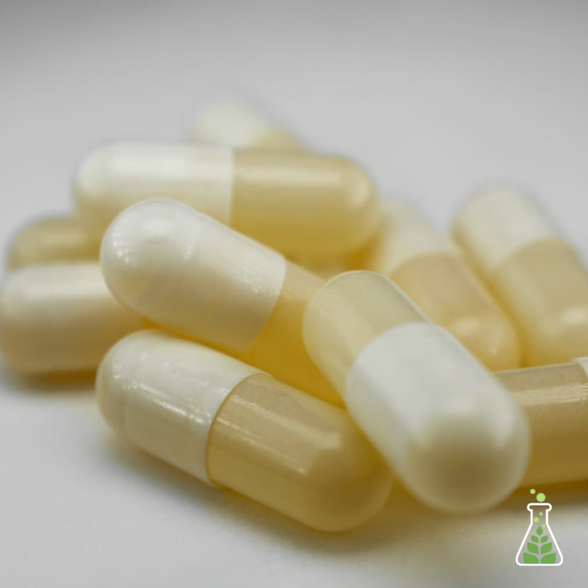 Photograph of product: Oui'd I Full Spectrum Capsules | 20 Pack (TH-oui)