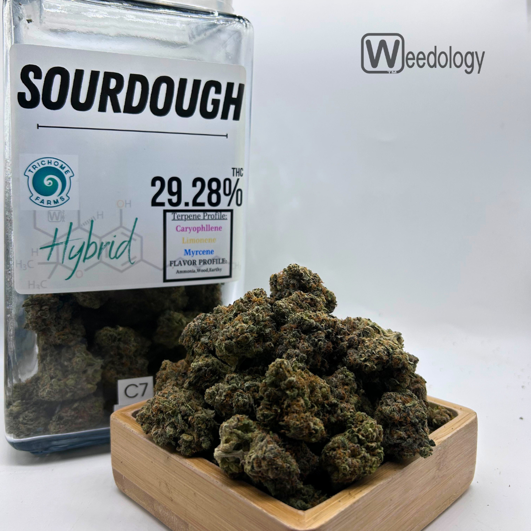 Photograph of product: Sourdough (H) - 28g