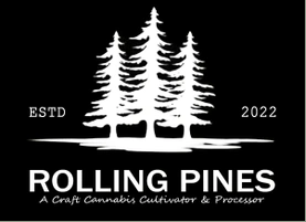 Photograph of Product: Rolling Pines - Northern Lights - Full Spectrum Dab Syringe 1g