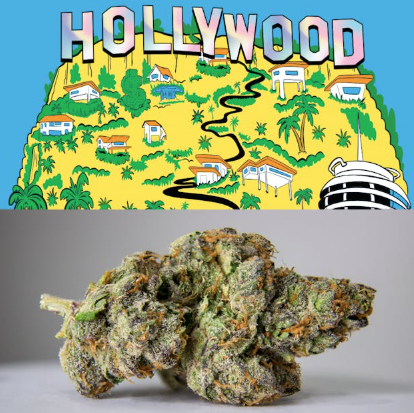 Photograph of product: Cookies Small Flower 7g- Hollywood