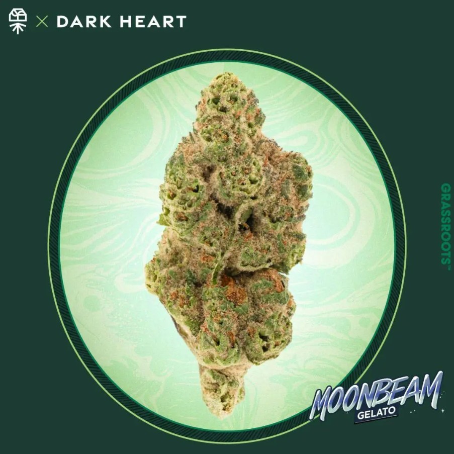Photograph of product: Dark Heart Moonbeam Gelato | 3.5g