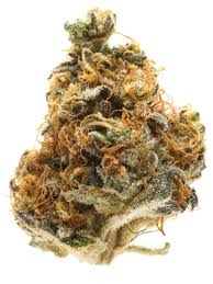 Photograph of product: HOUSE PARTY - FLOWER - 28G - HYBRID - SUNDAE DRIVER