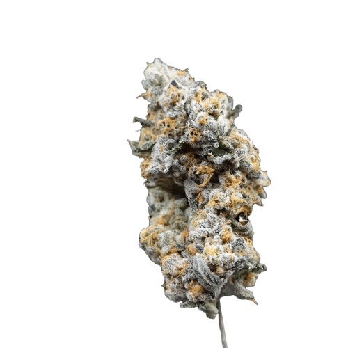 Photograph of product: Emerald Visions Carbon Fibre BULK Flower - 1g