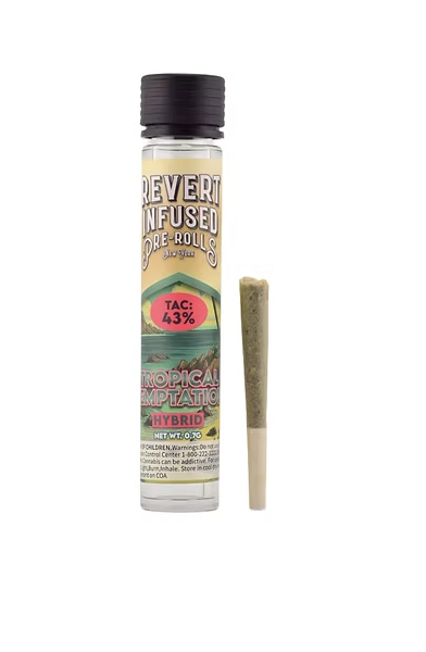 Photograph of product: Tropical Temptation - .7g Infused Pre-roll