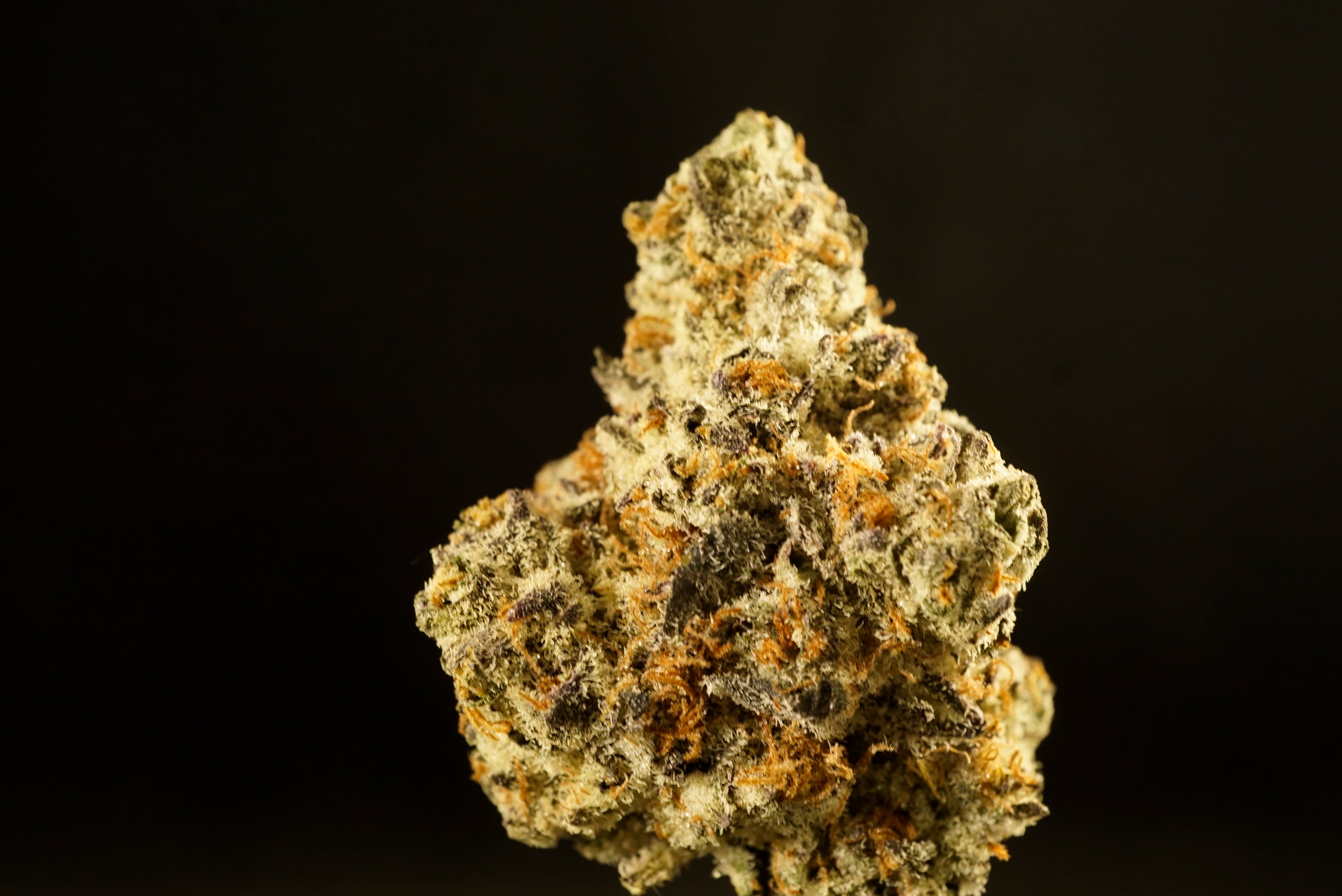 Photograph of product: Oreoz - 2g