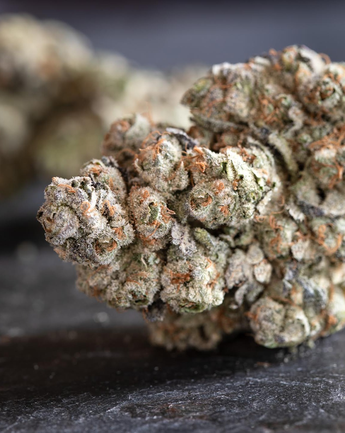 Photograph of product: Red Congo - 7g