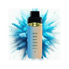 Photograph of Product: Frozen Grapes x Kiwi Berry (H+H) - Disposable Vape