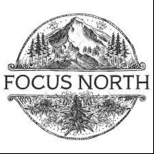 Photograph of product: Focus North -  Sour Diesel Live Rosin