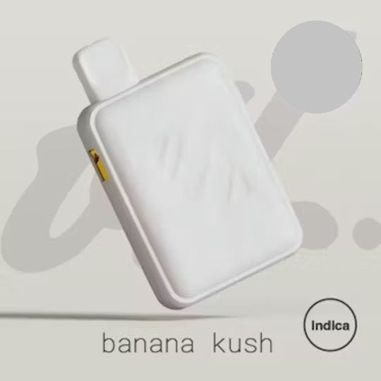 Photograph of product: Oil All-In-One (1g) - Banana Kush