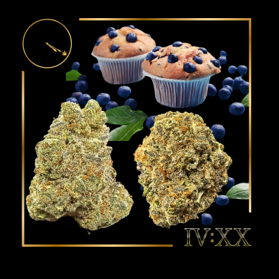 Photograph of product: Blueberry Muffin Pre-Roll | 0.5g - Four20