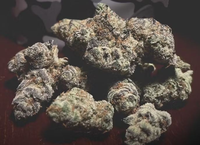 Photograph of product: Flower | Bluephoria - 3.5g