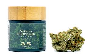 Photograph of product: Governmint Oasis: Flower 3.5g
