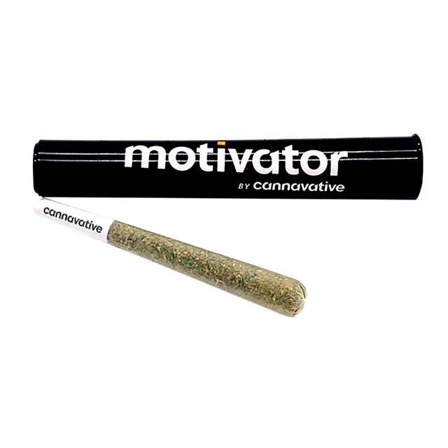 Photograph of product: Georgia Pie (Jasper Collab) Infused Motivator Pr 1g {44}