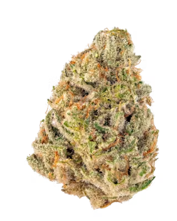 Photograph of product: Gold Shelf - Lemon Pound Cake (S) - 7g