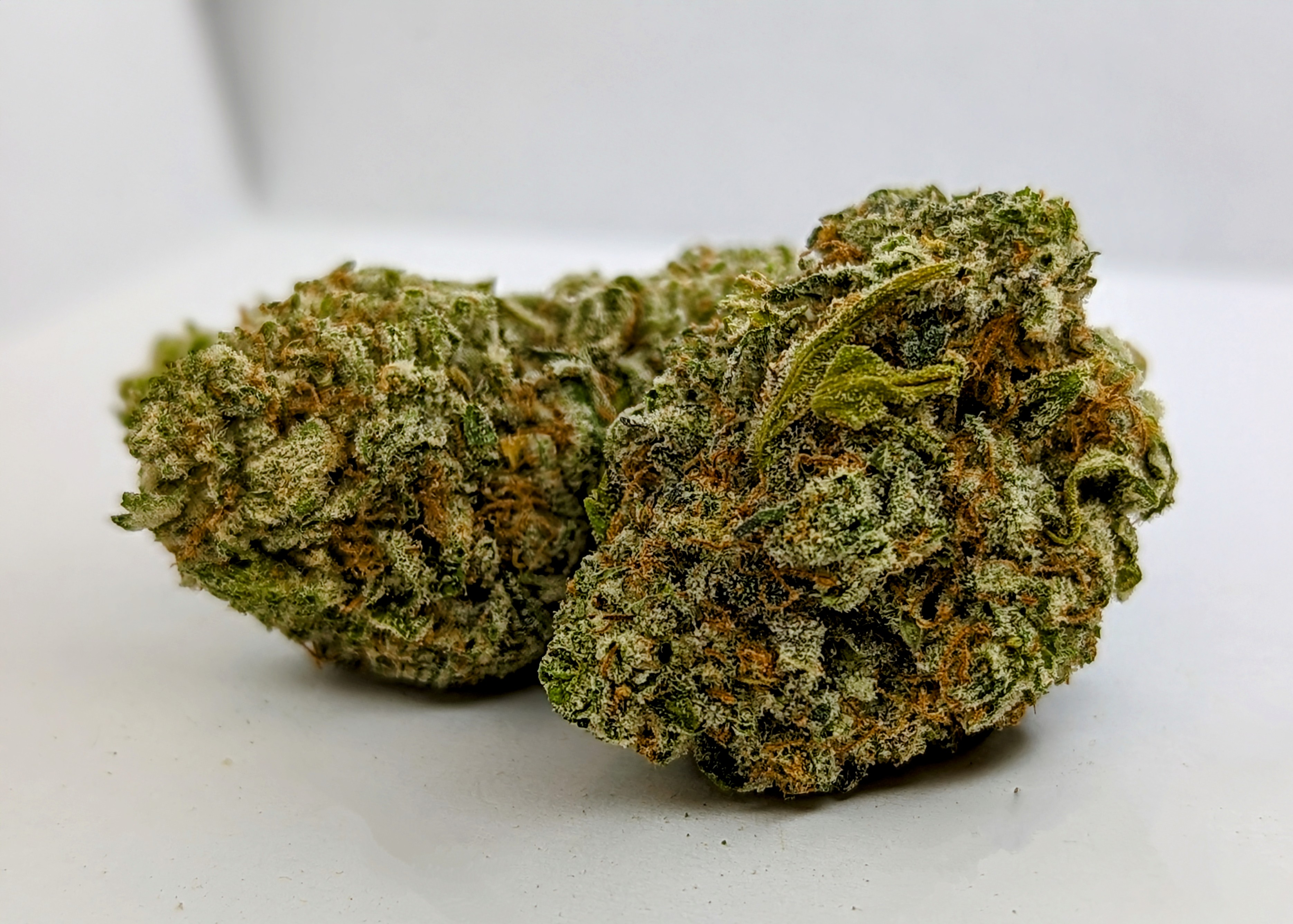 Photograph of product: Dogtown | Popcorn - 3.5g