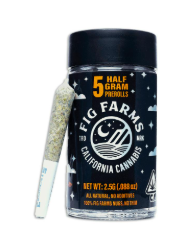 Photograph of product: Holy Moly! 5pk PR