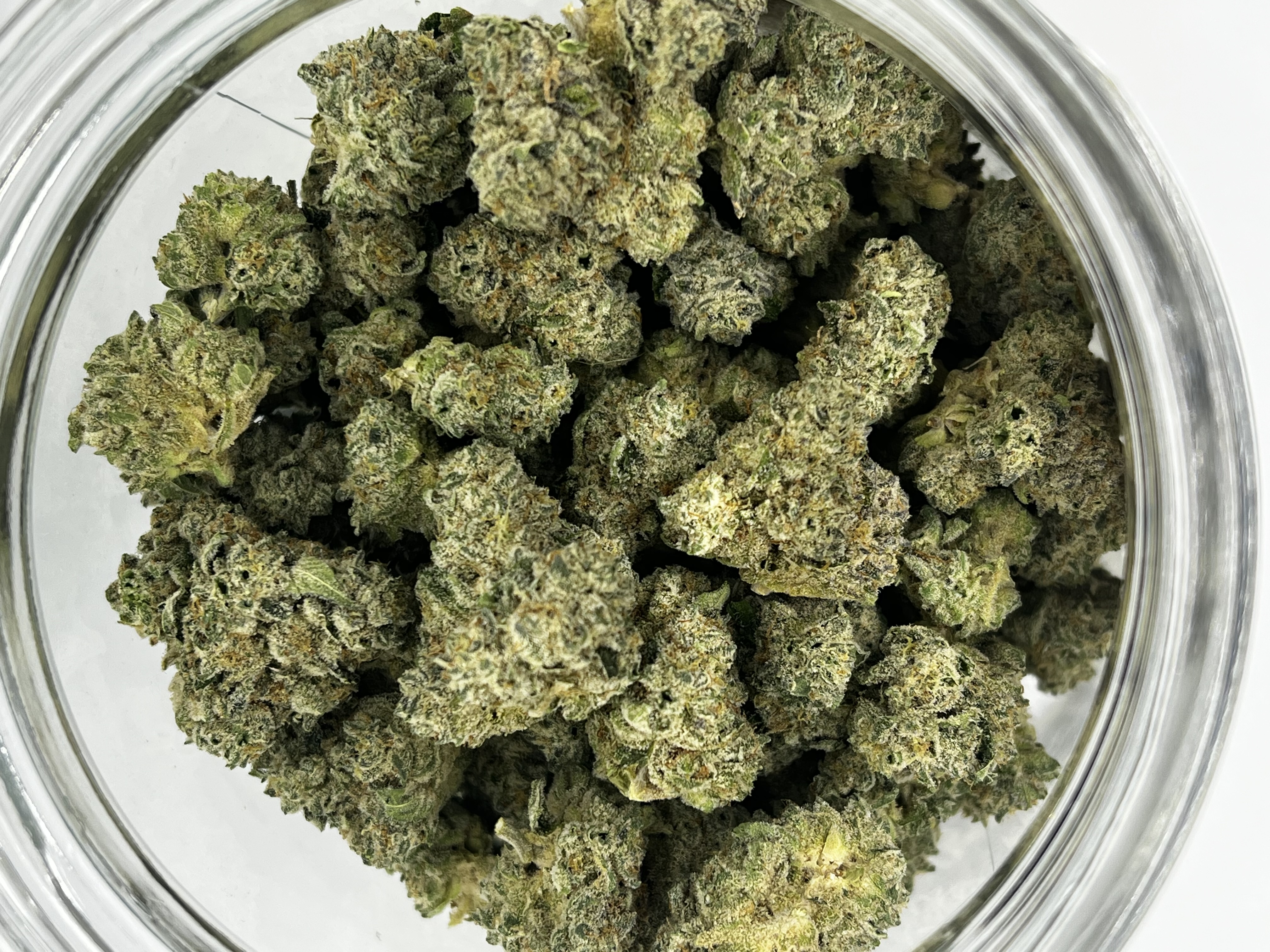 Photograph of product: Lemon Lime Punch | Harvested: 05/27/2025 - 28g