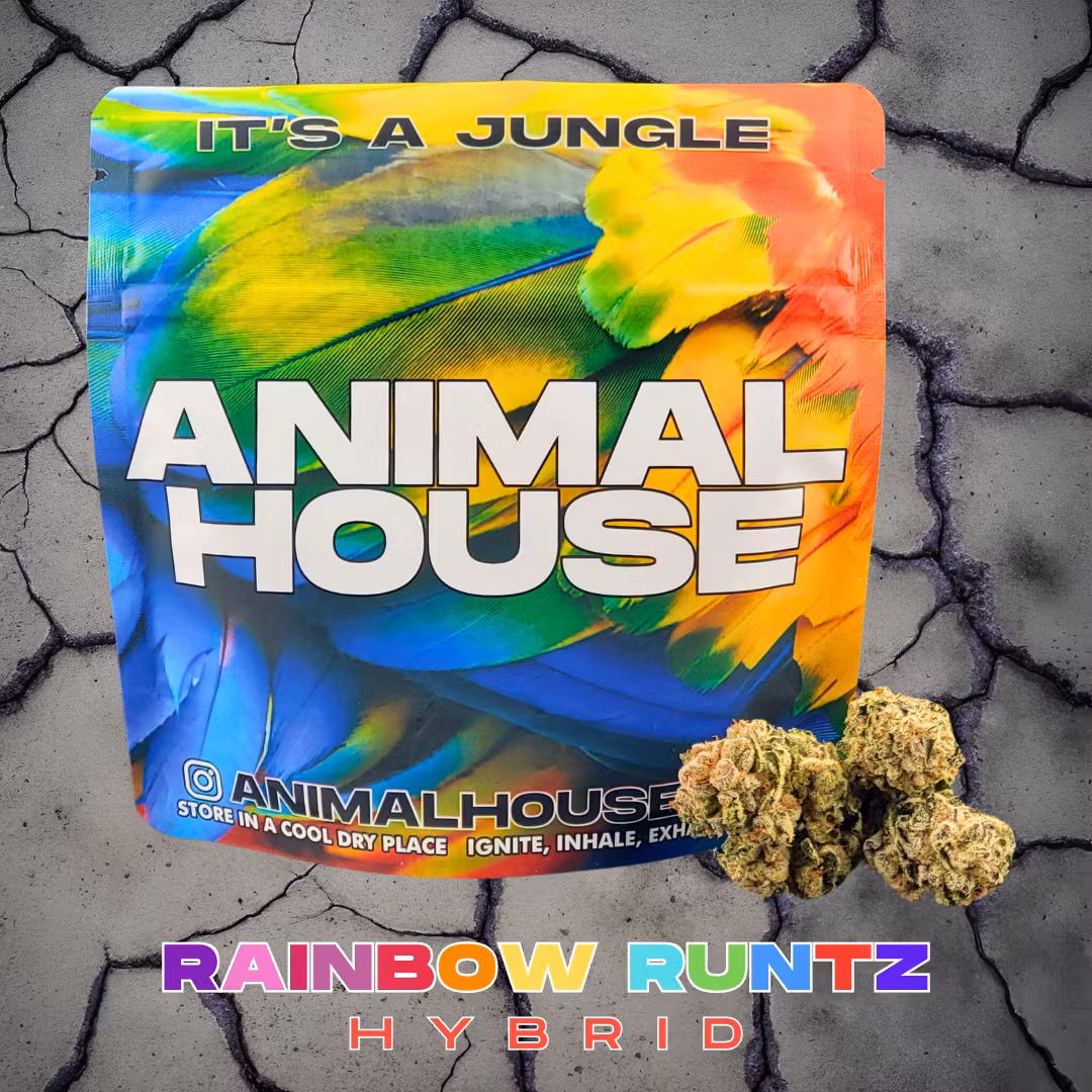 Photograph of product: Animal House | Rainbow Runtz | Mixed -Light Flower - 3.5g
