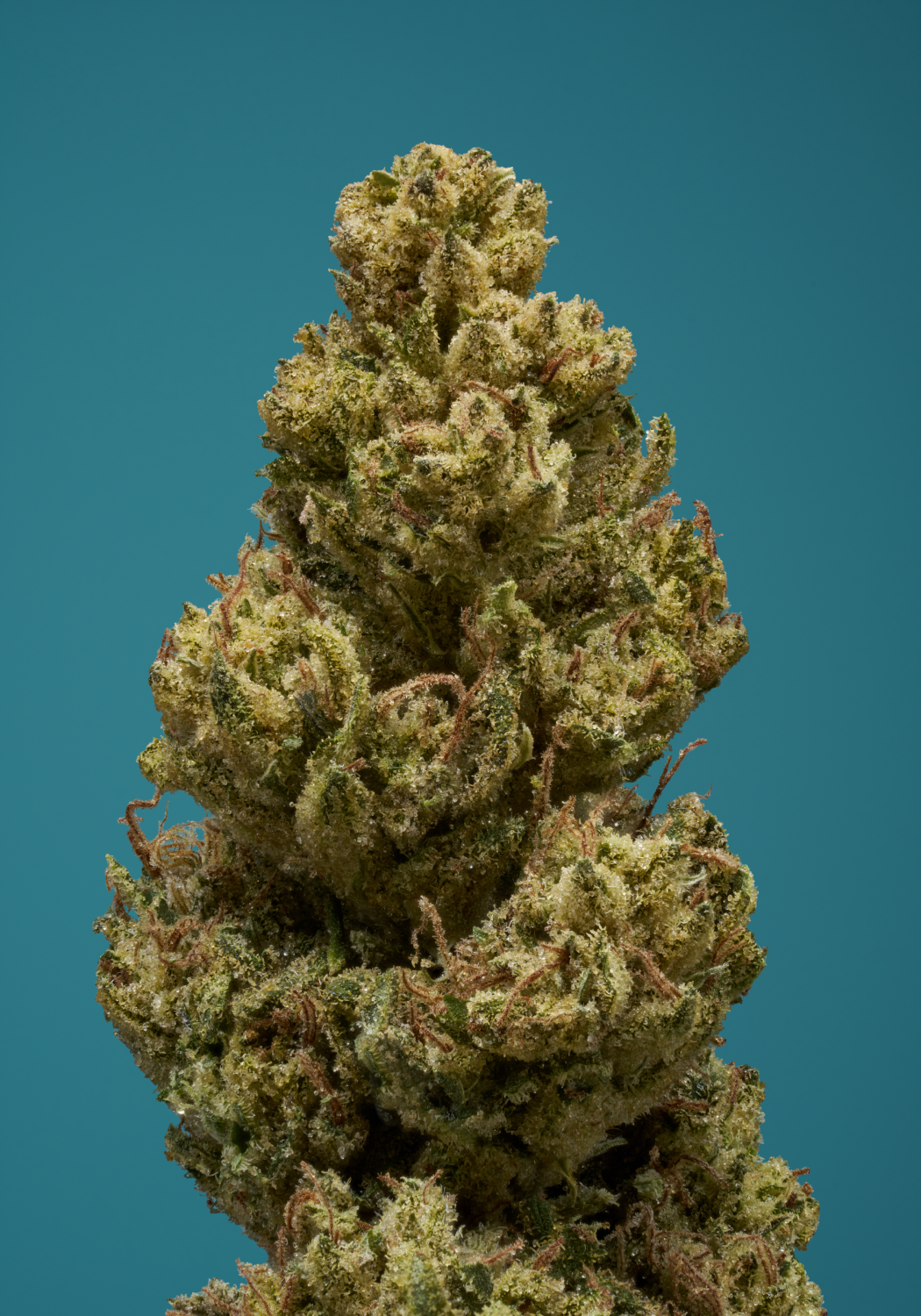 Photograph of product: Cap Junky Flower 3.5g