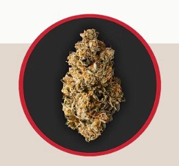 Photograph of product: ROBUST - SCENTED MARKER #2 3.5G HYBRID