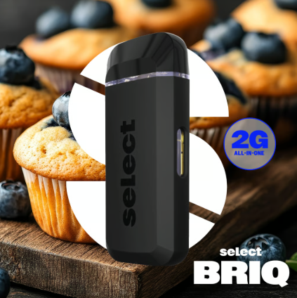 Photograph of product: Disposable Cartridge - Select Briq - Blueberry Muffin (I) - 2g