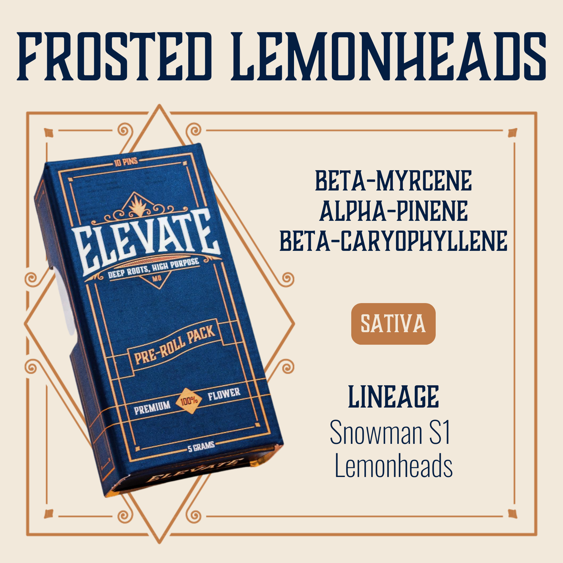 Photograph of product: Frosted Lemonheads Pins Pre-Roll | 10-pack