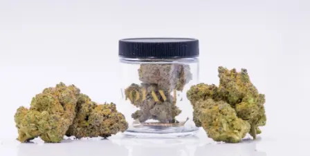 Photograph of product: BANANA PUDDINTAIN