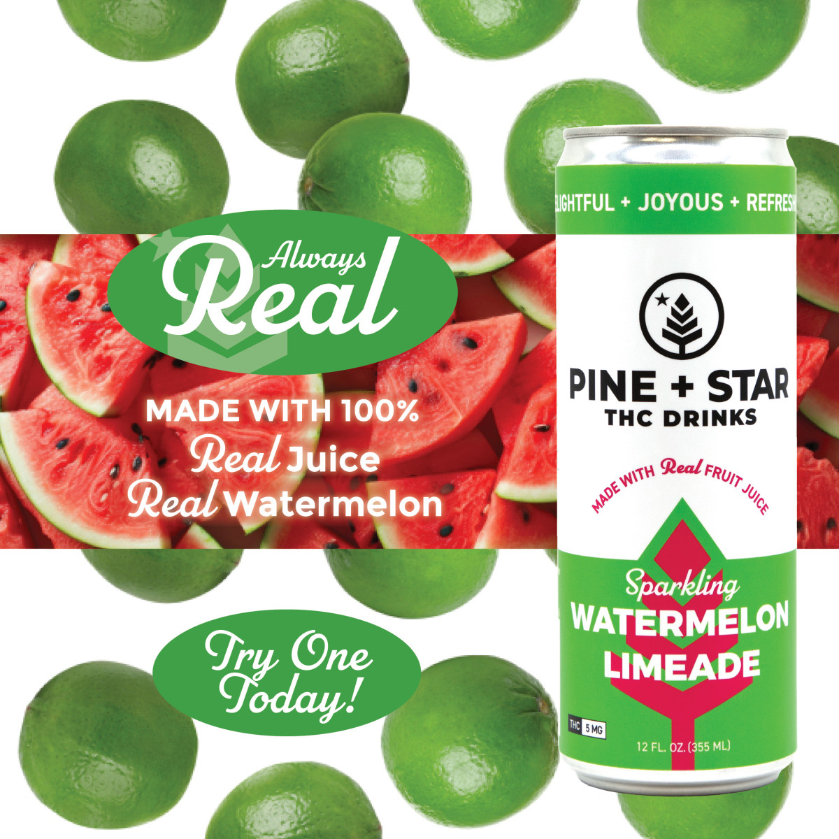 Photograph of Product: Drink | Watermelon Limeade | 5mg | Pine + Starr