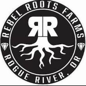 Photograph of product: Strawberry Cough - Rocket Fuel - Oui'd | Rebel Roots