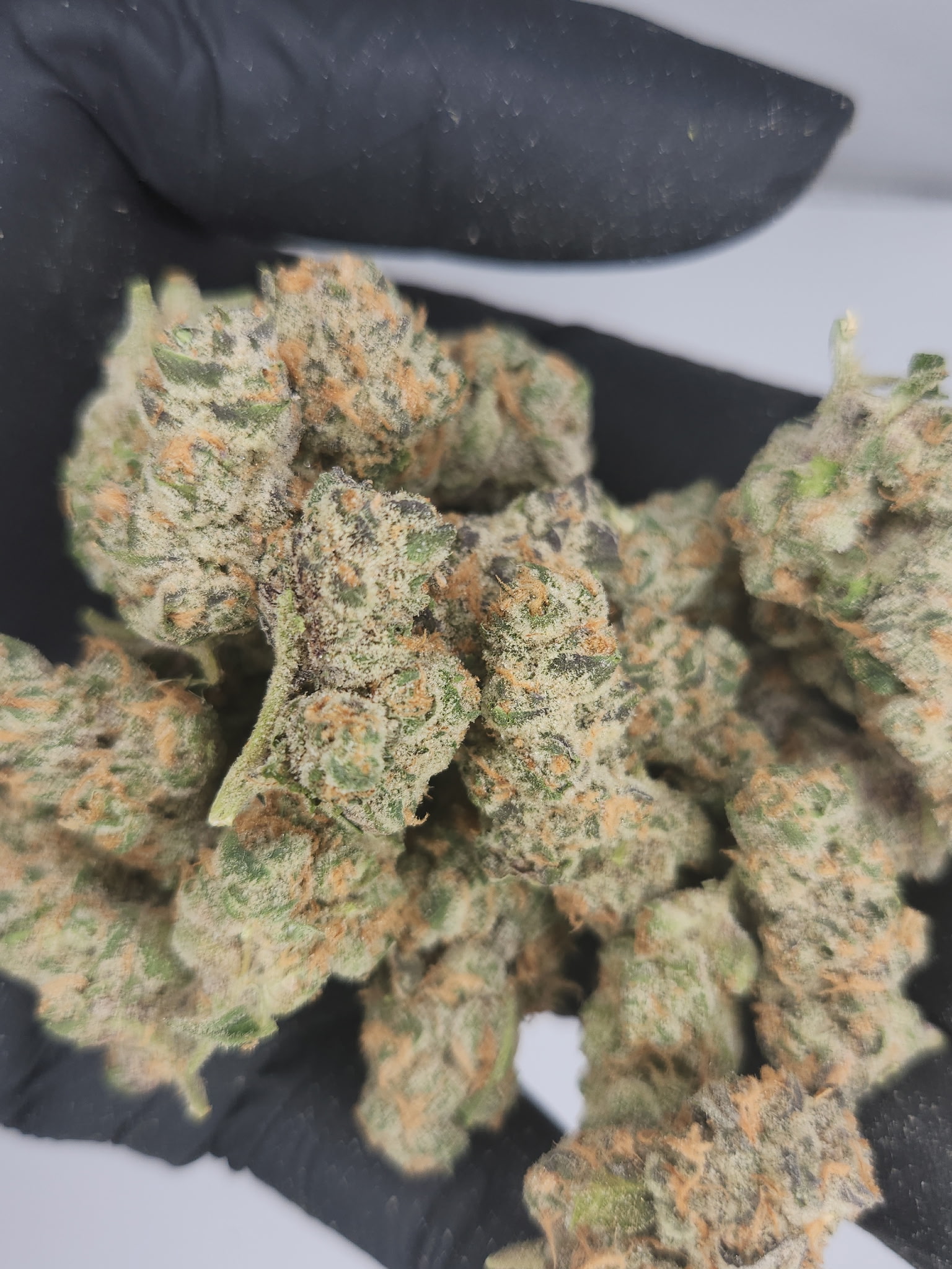 Photograph of product: Delta Farms | Bulk Bud - Divorce Cake - 28g