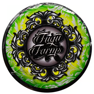 Photograph of product: Kush Mints Rosin | 1g (DOH)
