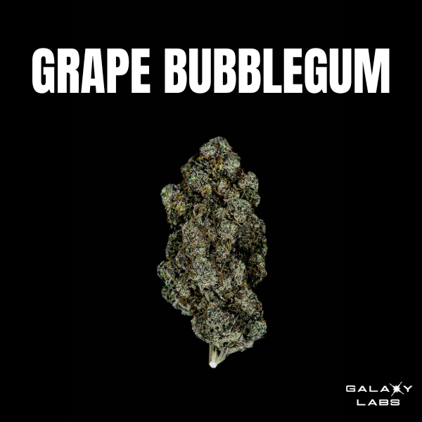 Photograph of product: GRAPE BUBBLE GUM 3.5G FLOWER