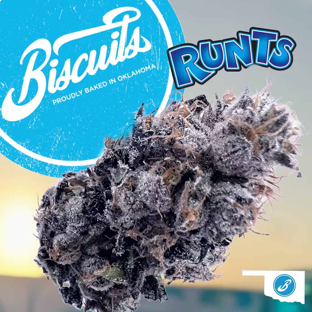 Photograph of Product: Runtz - Biscuits Flower - 3.5g