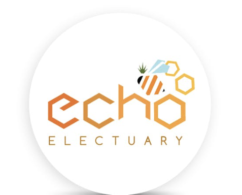 Photograph of product: Echo Electuary | Lemon Royale All-in-One Live Rosin Vape