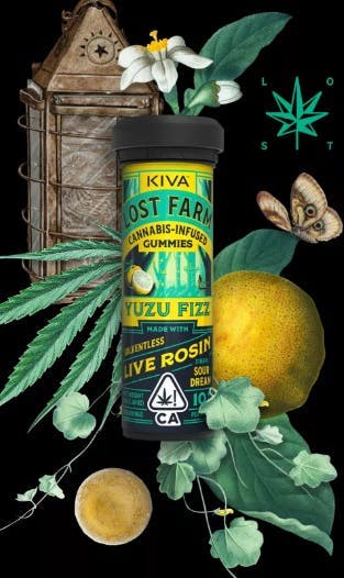 Photograph of product: Yuzu Fizz x Sour Dream Rosin - Gummies (100mg)