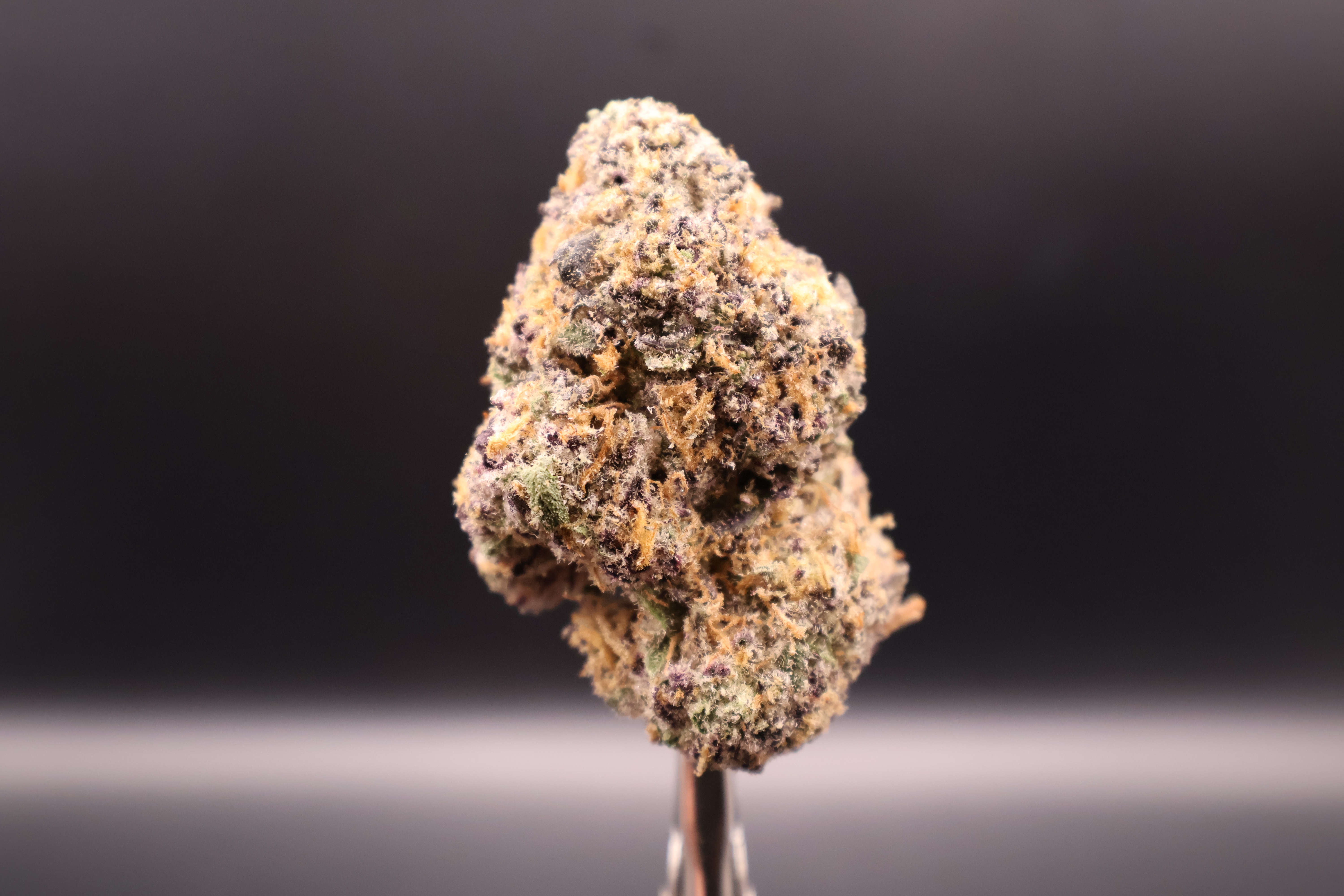 Photograph of product: Zoap (Resin Ranchers) - 28g