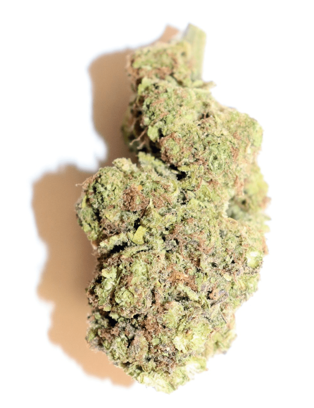 Photograph of product: Vana | Divine Storm | Popcorn Flower - 28g