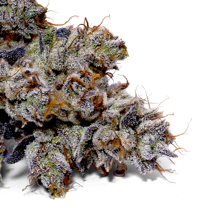 Photograph of product: Gaslight OG - 28g
