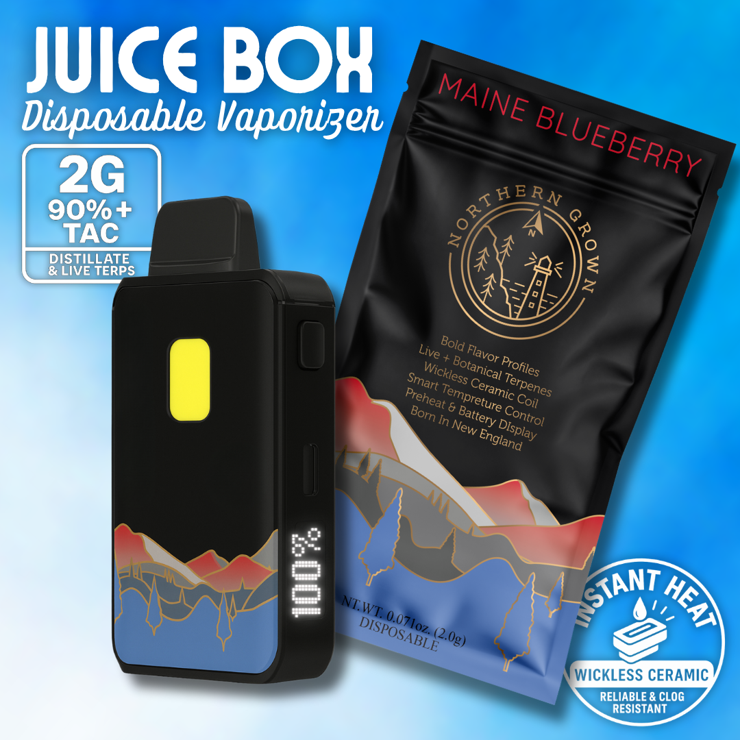 Photograph of Product: Northern Grown | Maine Blueberry Juice Box Disposable | 2.0g