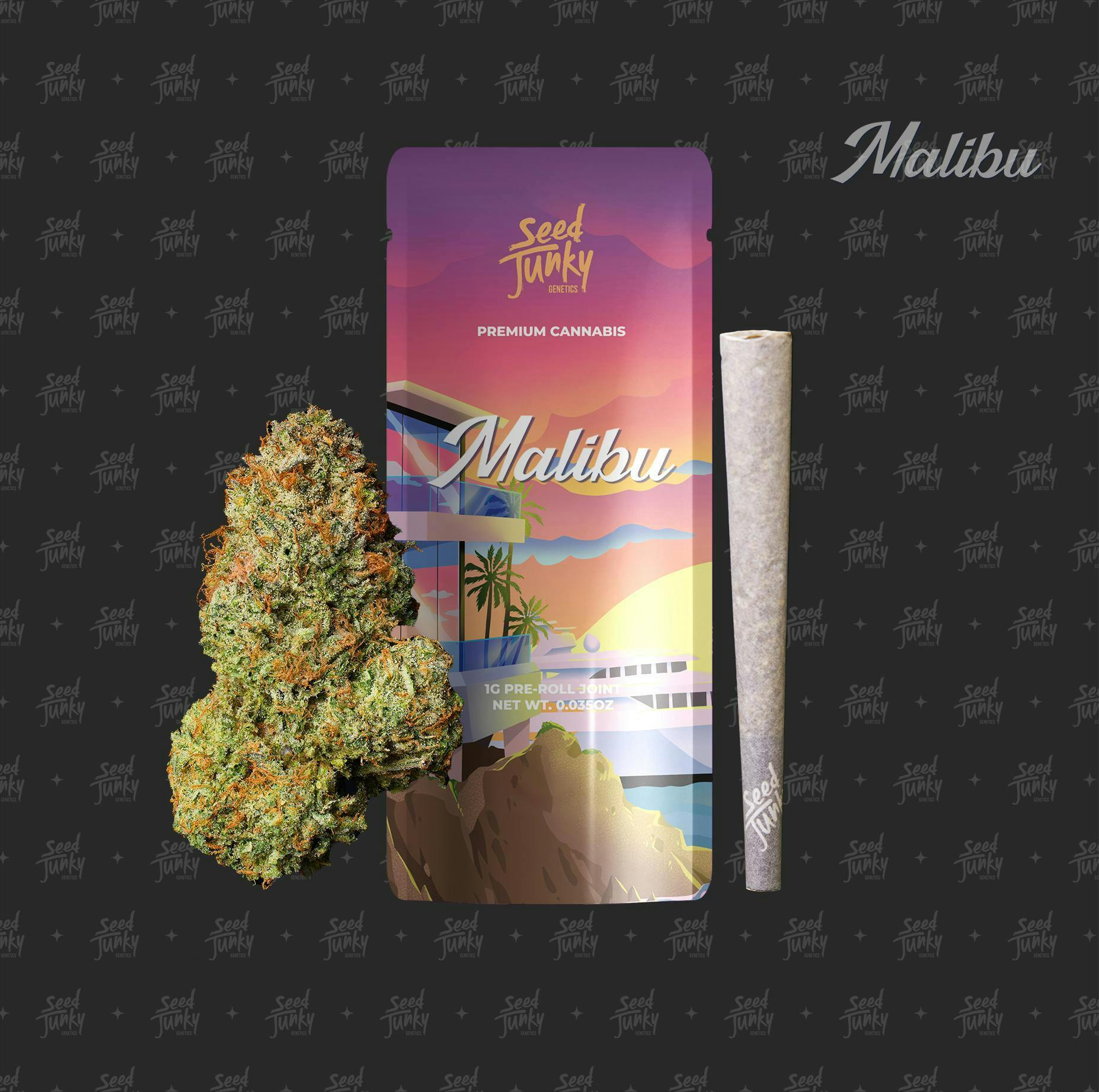 Photograph of product: Seed Junky | 1g Pre-Roll | Malibu (Hybrid)