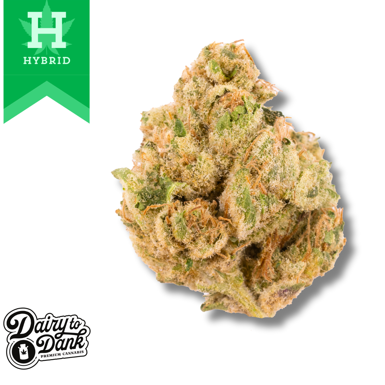 Photograph of product: D2D | Flower | Pre-Pack 3.5g | 1pk | Kushy Dough (HYB) | Bigs