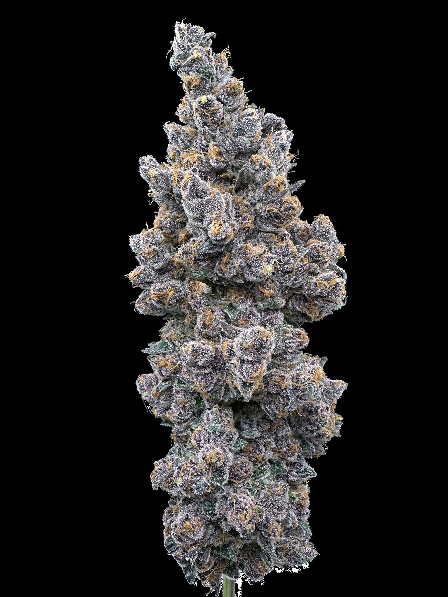 Photograph of product: Super Boof | 14g Pre-Ground