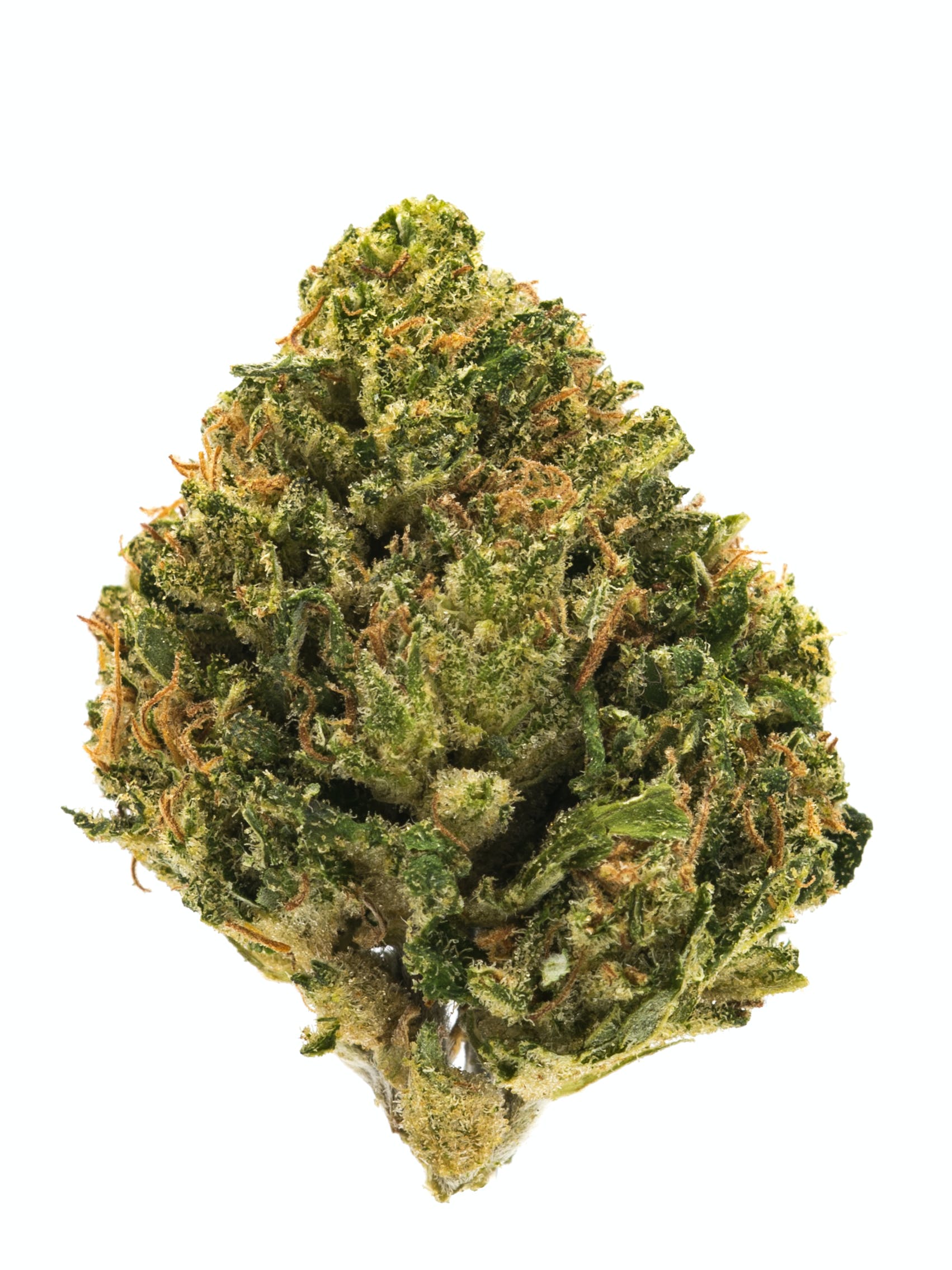 Photograph of product: (1:1) Sour Tsunami - Buds 3.5g