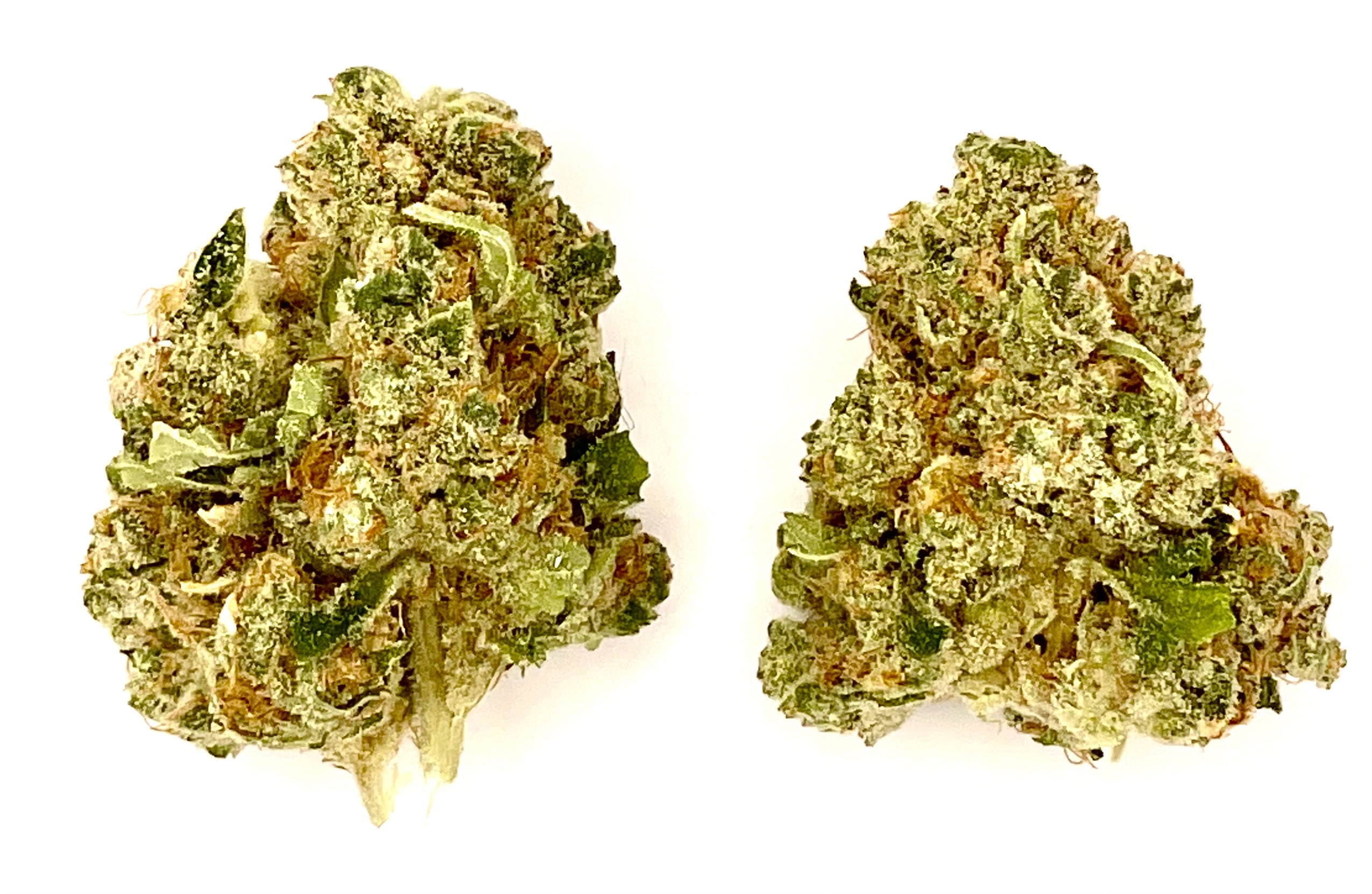 Photograph of Product: Buds | Sour Tangie - 2g