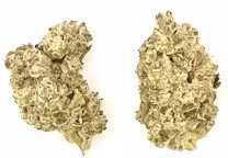 Photograph of product: CougarCandy-Flower-|Oui'd-Dominant|MK - 3.5g