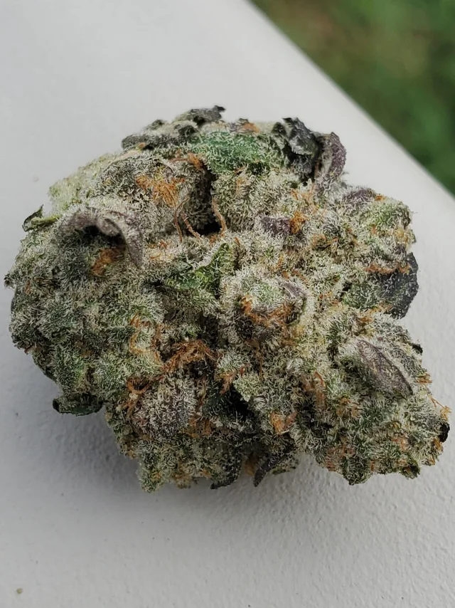 Photograph of product: Silver Shelf - Sapphire Berry OG (H) - 28g