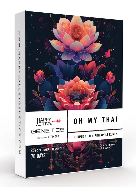 Photograph of product: Happy Valley | Oh My Thai | Feminized Auto Flowering Seeds 6 Pack