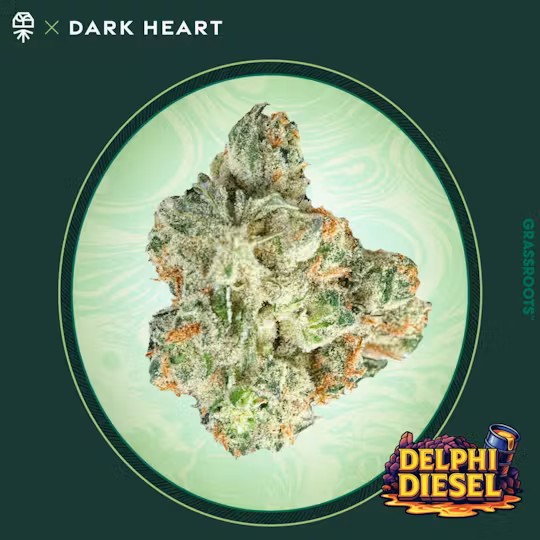 Photograph of product: Grassroots | Delphi Diesel | Oui'd | Flower | 3.5g